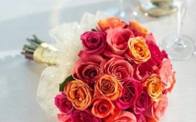 Tie the Knot with Monica