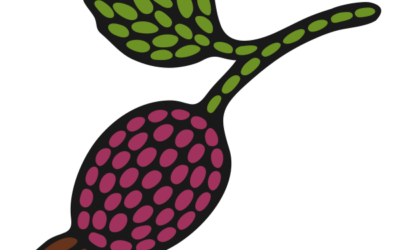 Rosehip & Birch Métis Creations